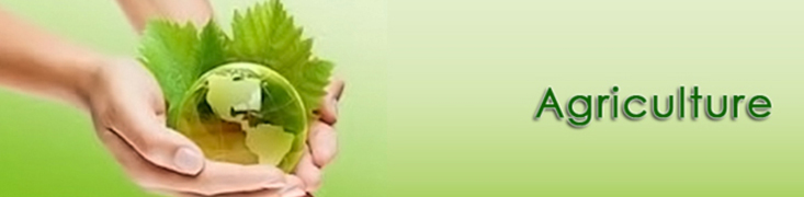 Higher National Diploma in Agriculture - HNDIT (Agri)