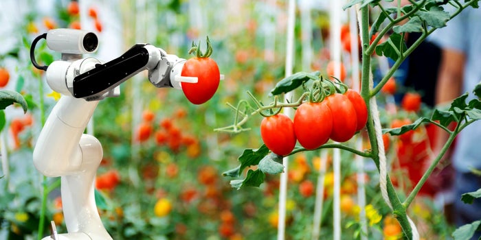 Higher National Diploma in Food Technology – (HNDFT)